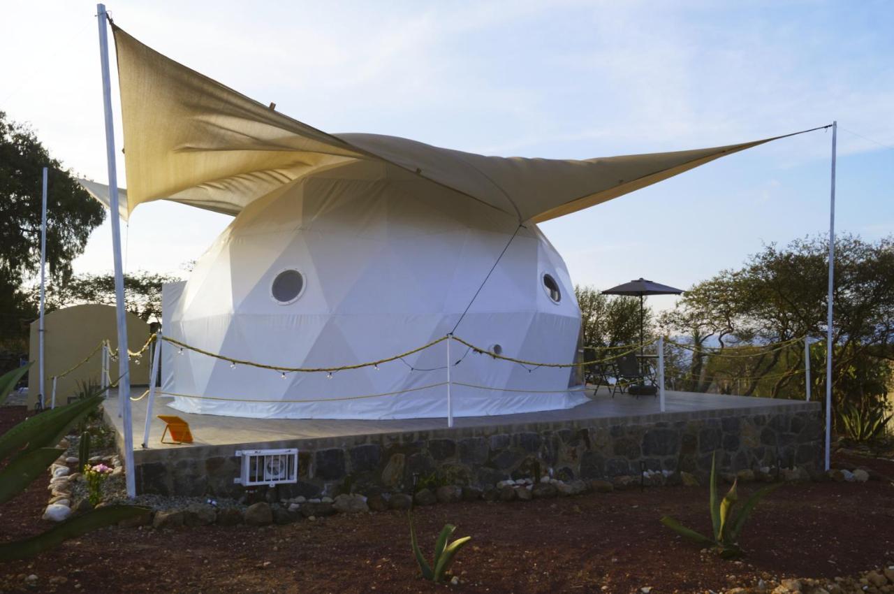 El Gato Glamping Con Vista A Prismas Basalticos Hotel Huasca de Ocampo Bagian luar foto
