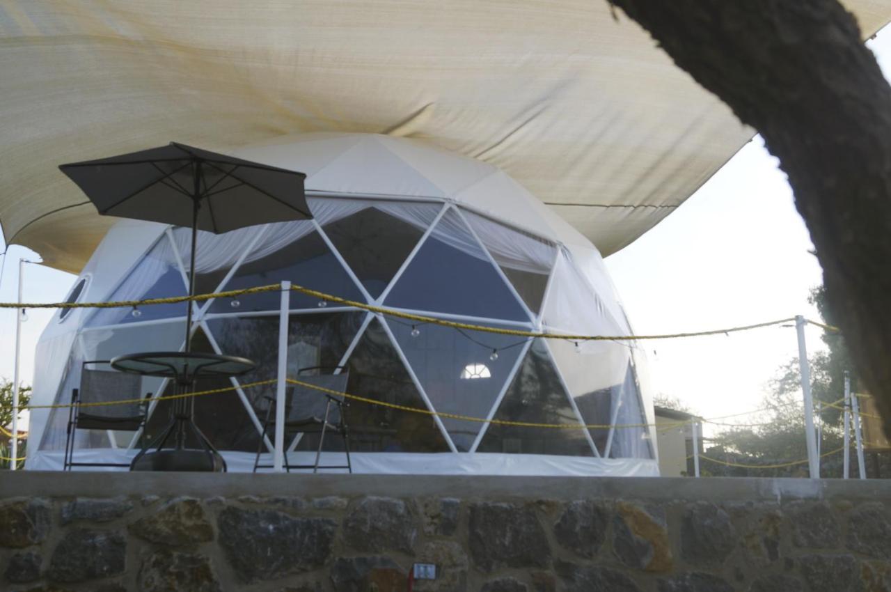El Gato Glamping Con Vista A Prismas Basalticos Hotel Huasca de Ocampo Bagian luar foto