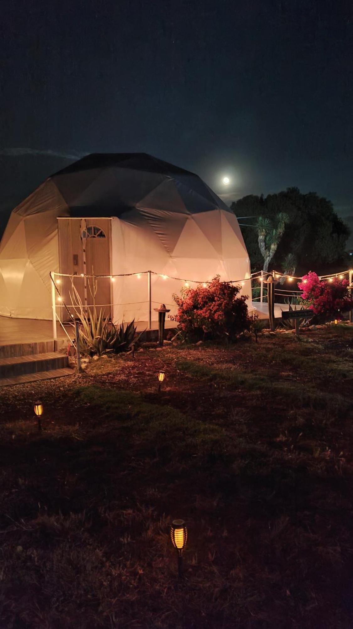 El Gato Glamping Con Vista A Prismas Basalticos Hotel Huasca de Ocampo Bagian luar foto