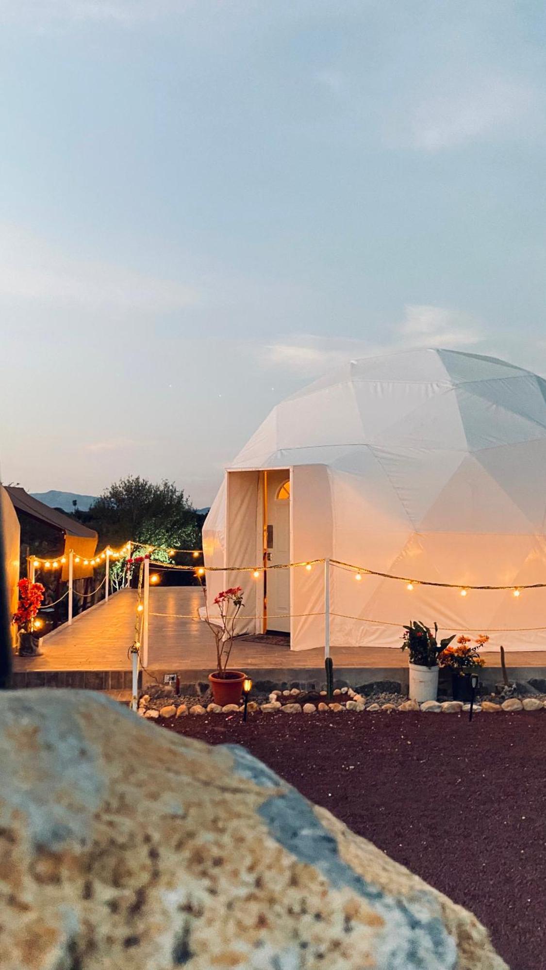 El Gato Glamping Con Vista A Prismas Basalticos Hotel Huasca de Ocampo Bagian luar foto