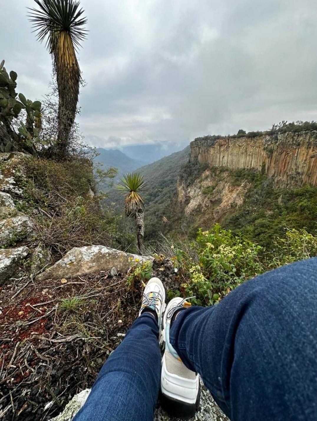 El Gato Glamping Con Vista A Prismas Basalticos Hotel Huasca de Ocampo Bagian luar foto