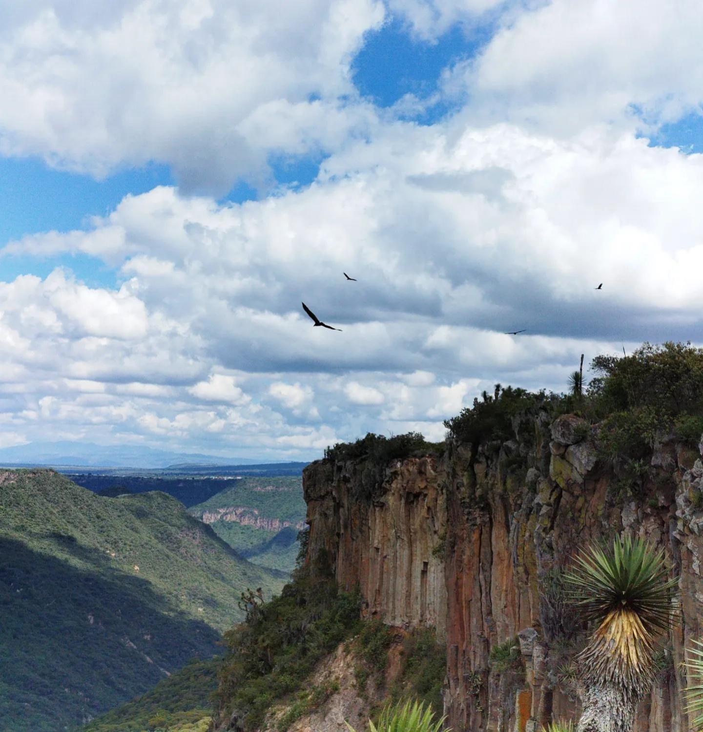El Gato Glamping Con Vista A Prismas Basalticos Hotel Huasca de Ocampo Bagian luar foto
